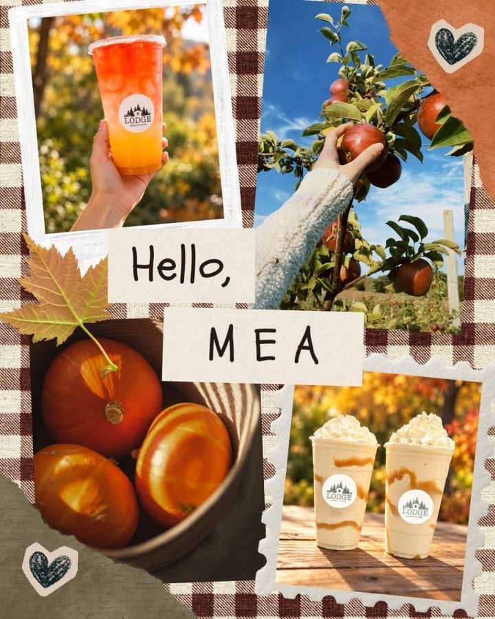 Fall collage with a layered energy tea, apples, pumpkins and two caramel shakes